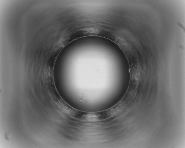 X0000096420518200801241319