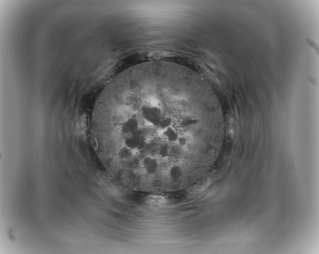 X0000096420519200801241319