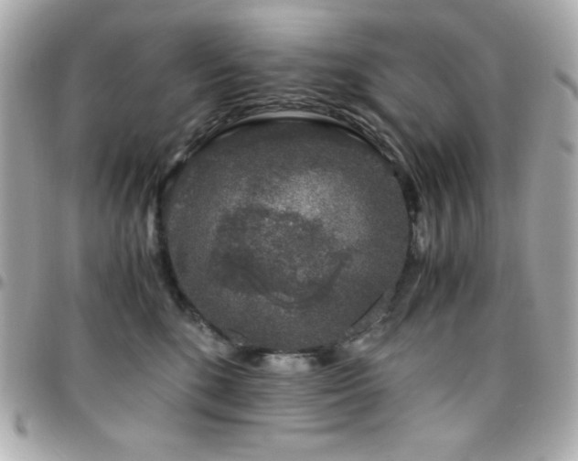 X0000096420520200801241319