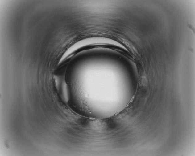 X0000096420521200801241319