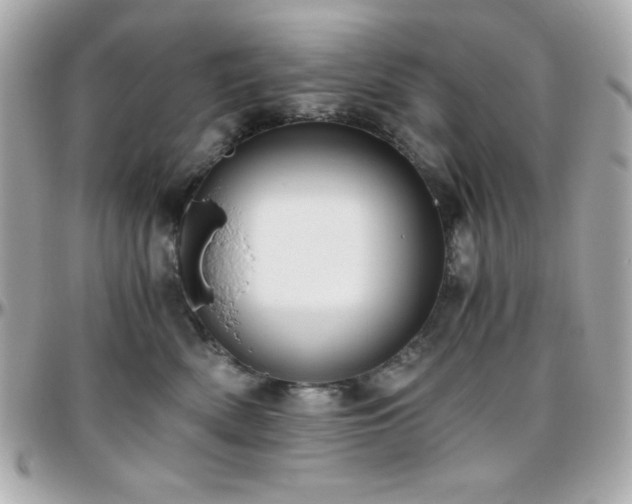 X0000096420522200801241319
