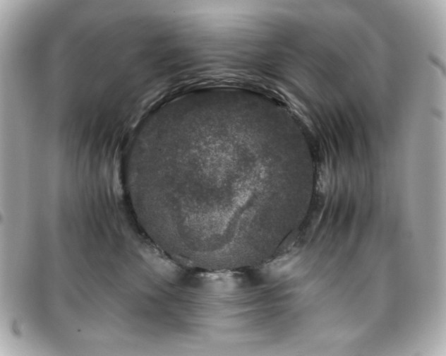 X0000096420524200801241319