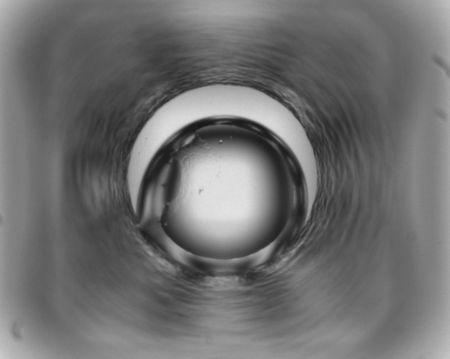 X0000096420525200801241319