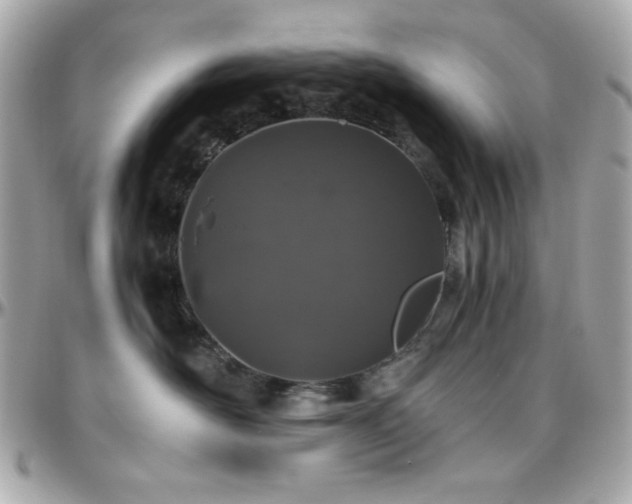 X0000096420526200801241319