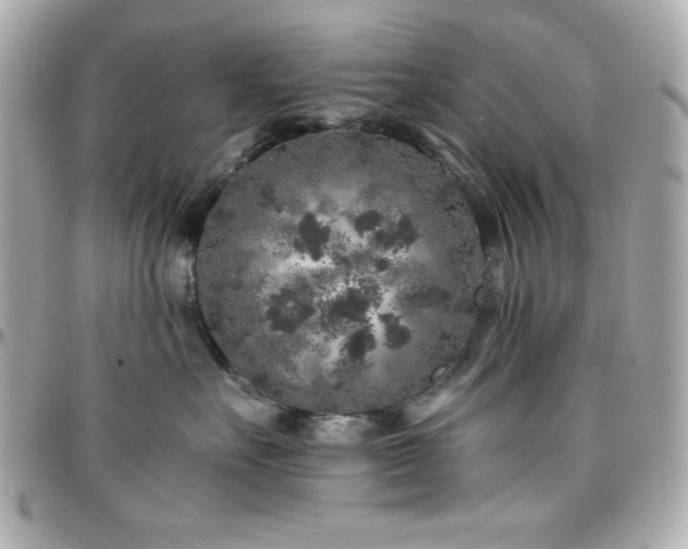 X0000096420527200801241319