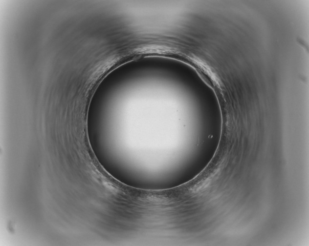 X0000096420529200801241319