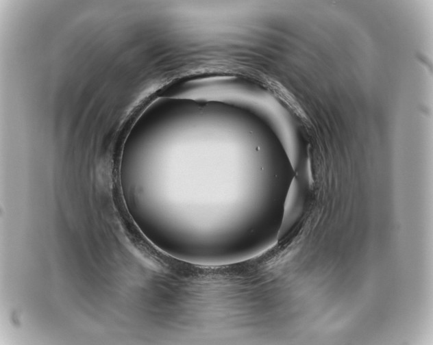 X0000096420530200801241319