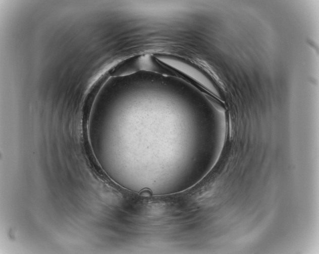X0000096420531200801241319