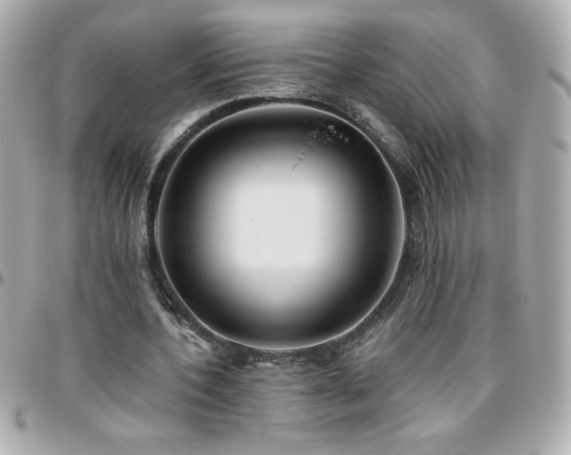 X0000096420532200801241319