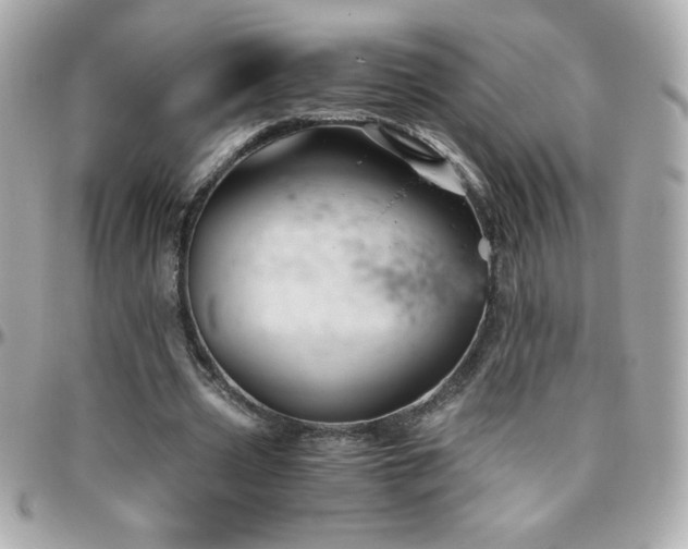 X0000096420533200801241319