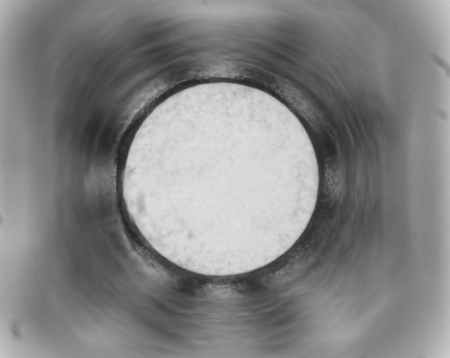 X0000096420534200801241319