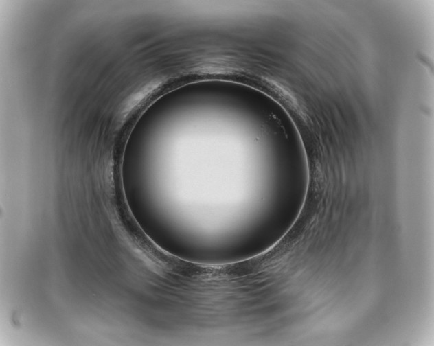 X0000096420535200801241319