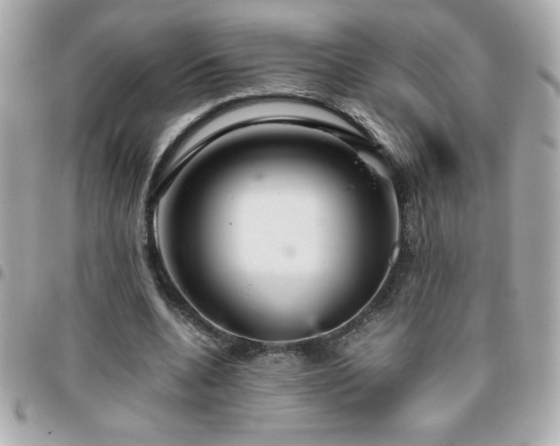 X0000096420536200801241319