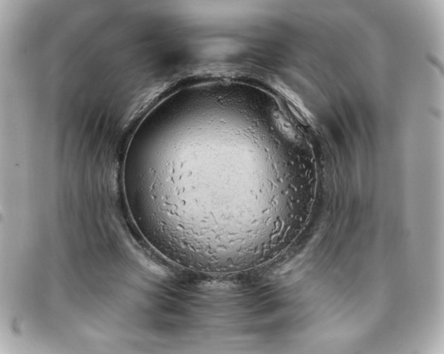 X0000096420537200801241319