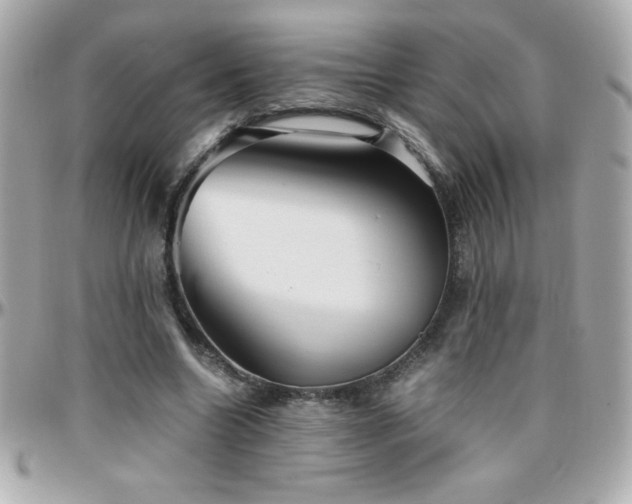 X0000096420538200801241319
