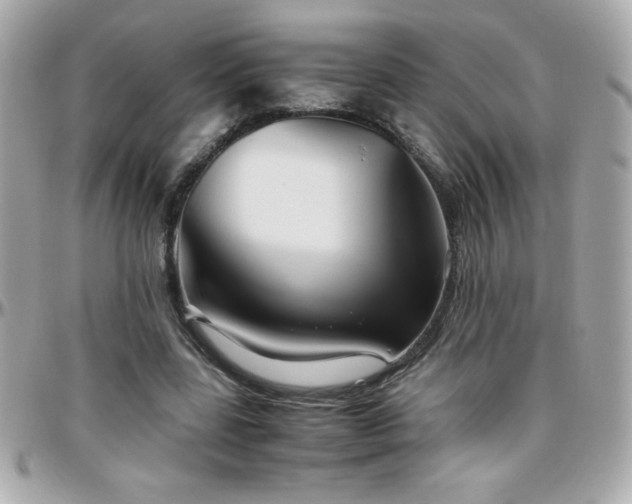 X0000096420539200801241319