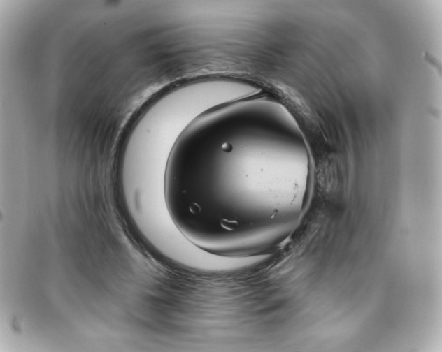 X0000096420540200801241319