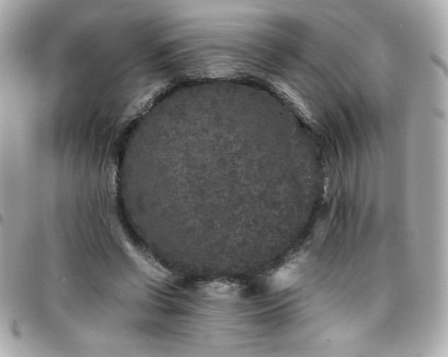 X0000096420542200801241319