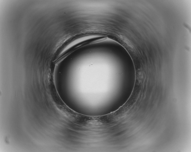 X0000096420544200801241319