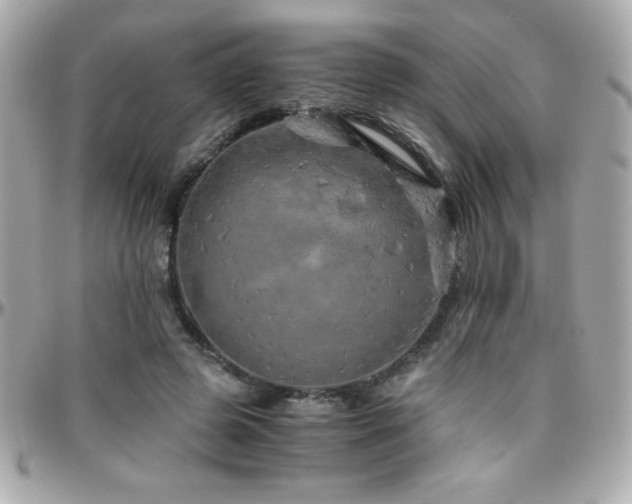 X0000096420545200801241319
