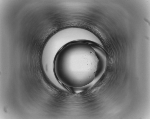 X0000096420546200801241319