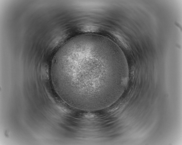 X0000096420547200801241319