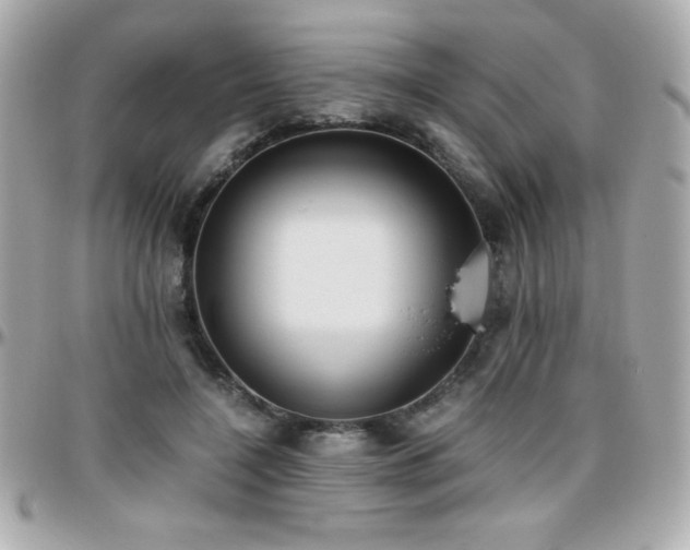 X0000096420548200801241319