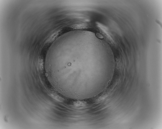 X0000096420549200801241319