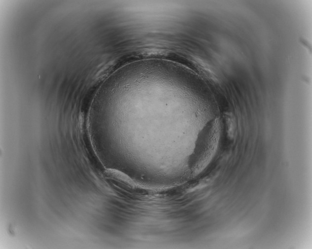 X0000096420550200801241319