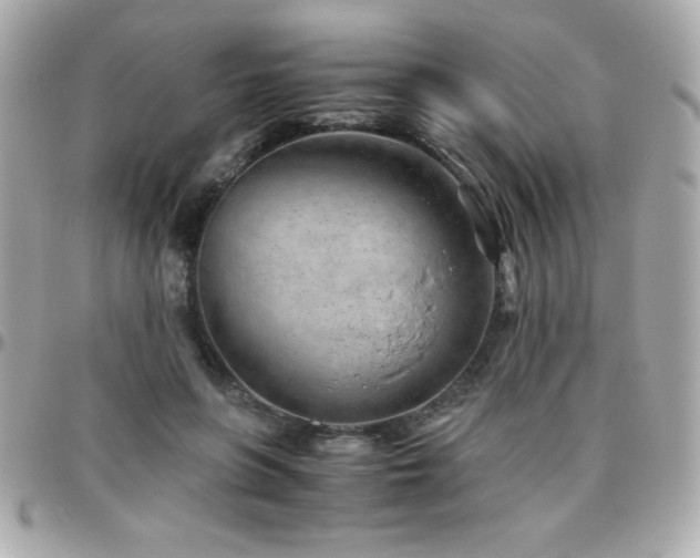 X0000096420551200801241319