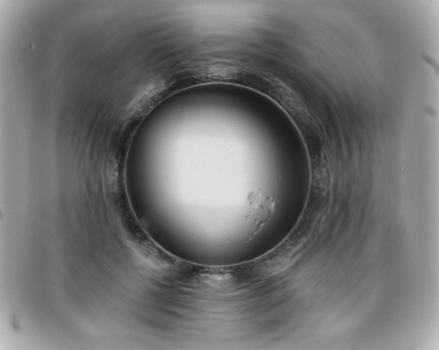 X0000096420552200801241319