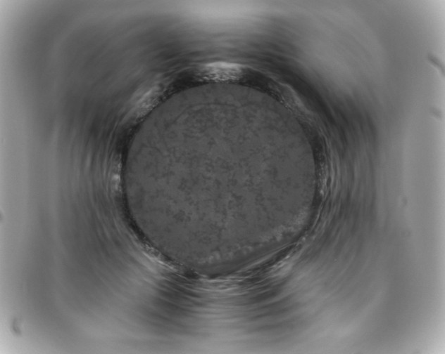 X0000096420553200801241319