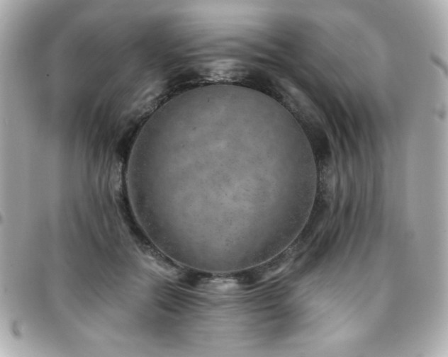 X0000096420554200801241319