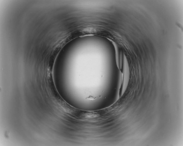 X0000096420555200801241319