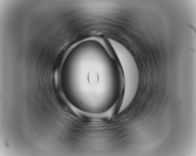 X0000096420556200801241319
