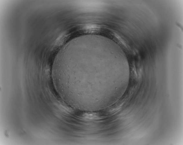 X0000096420557200801241319