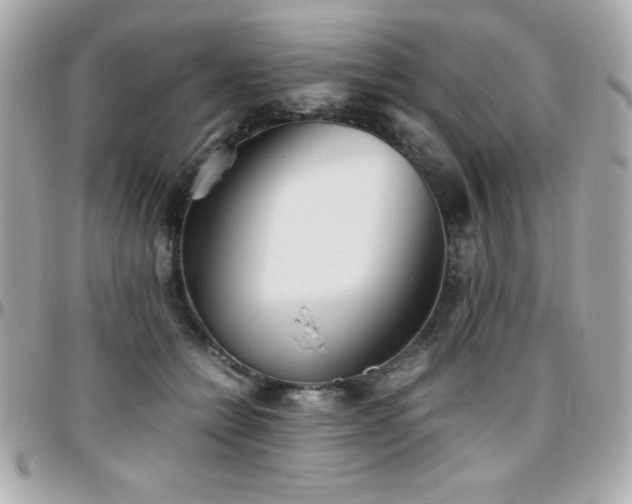 X0000096420558200801241319