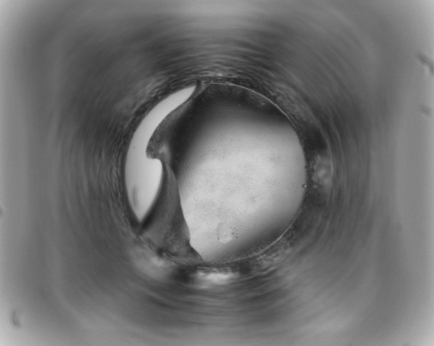 X0000096420559200801241319