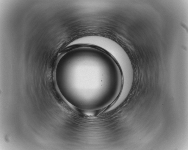 X0000096420560200801241319