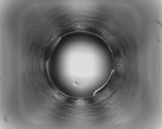 X0000096420562200801241319