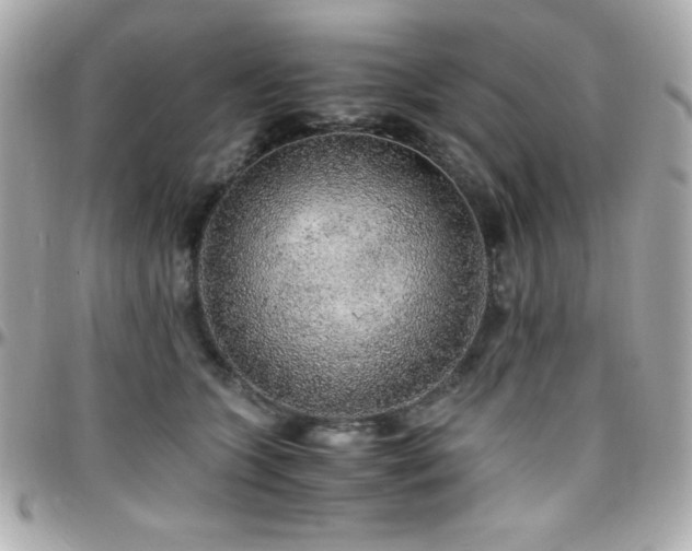 X0000096420563200801241319