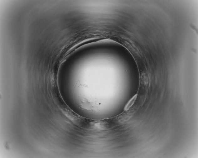 X0000096420564200801241319