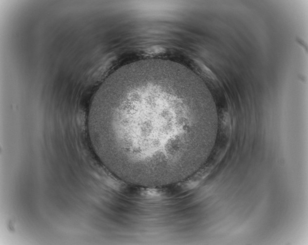 X0000096420565200801241319
