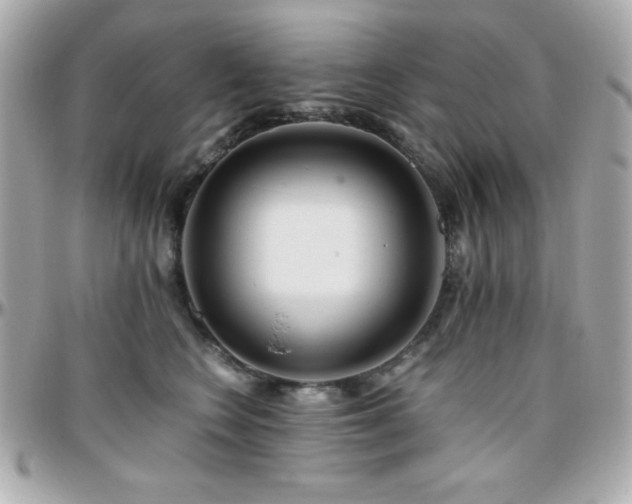 X0000096420566200801241319