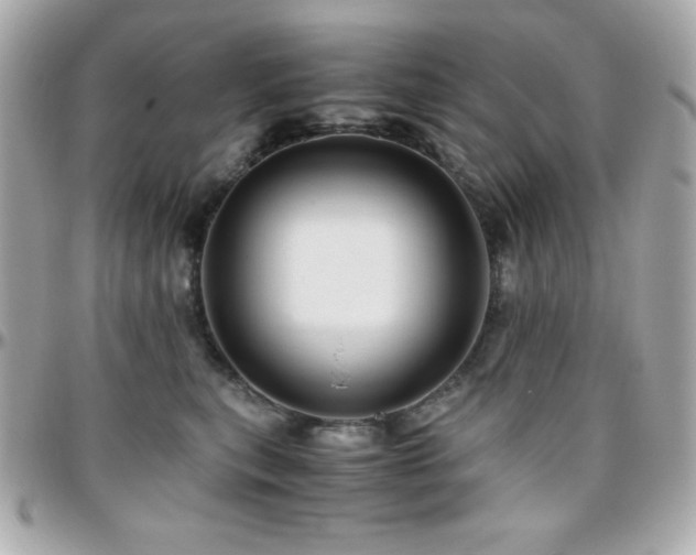 X0000096420567200801241319