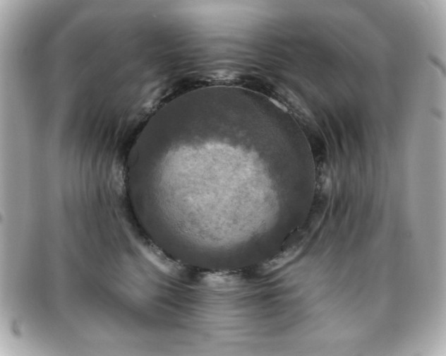 X0000096420568200801241319