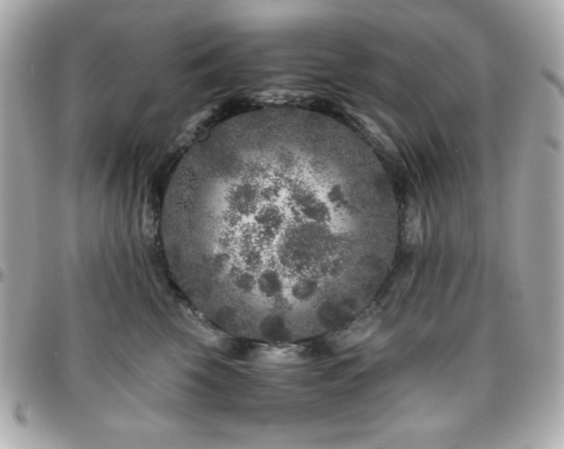 X0000096420569200801241319