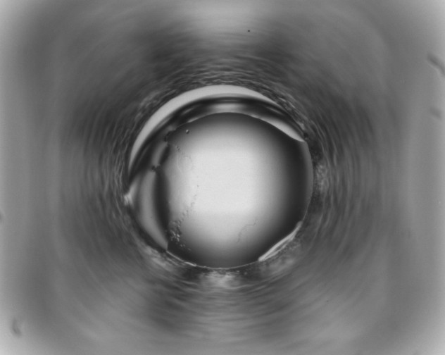 X0000096420570200801241319