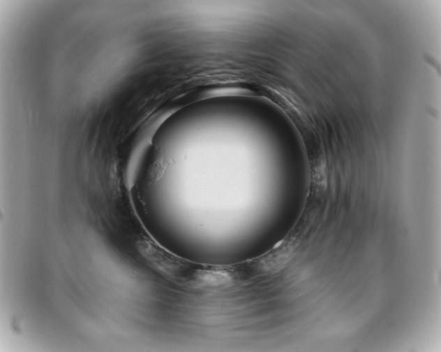 X0000096420572200801241319