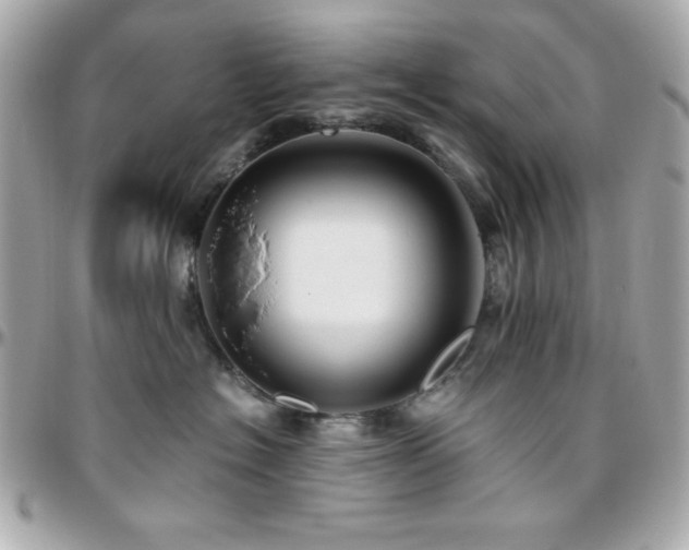 X0000096420574200801241319